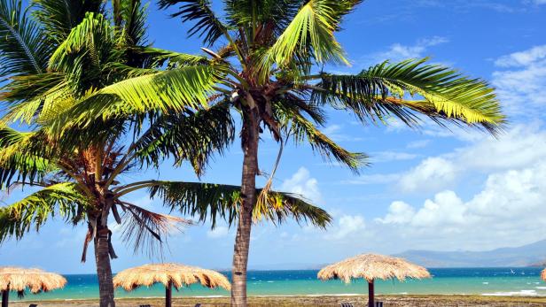 Mayotte, eine kleine Insel westlich von Madagaskar, gilt als Geheimtipp.