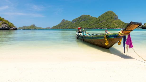 Den Steinbock zieht es nach Thailand.