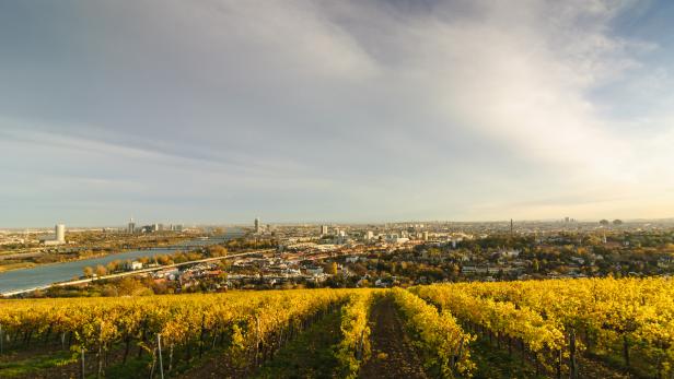 Unterwegs auf den Wiener Stadtwanderwegen