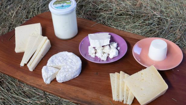 Preise für Milch und Butter bleiben stabil
