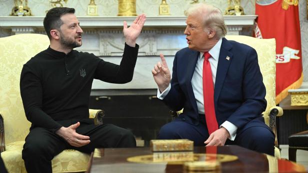 Trumps Rohstoff-Deal mit Kiew: Ein Vorschlag wie von einer Kolonialmacht