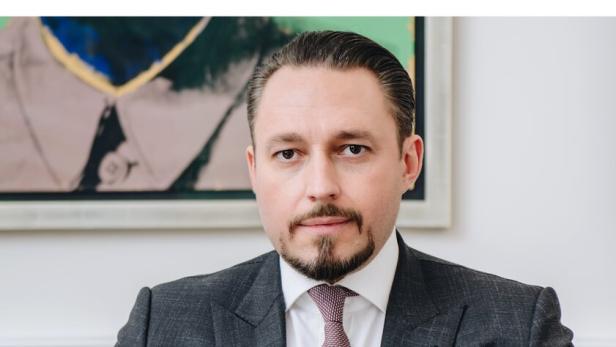 Hallmanns insolventer Bauträger Süba könnte verkauft werden