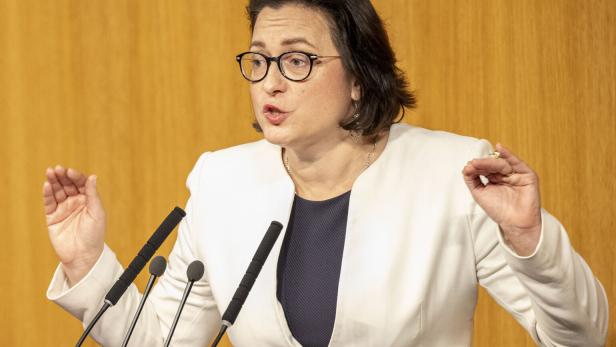 SONDERSITZUNG NATIONALRAT: KUGLER